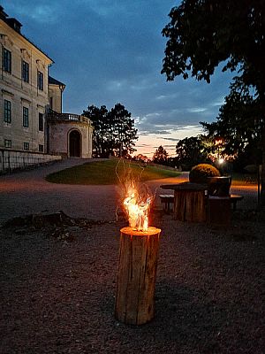 Svatba na zámku v Chlumci nad Cidlinou: Duškovi