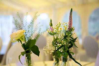 Wedding at the castle in Chlumec nad Cidlinou: the Skarks