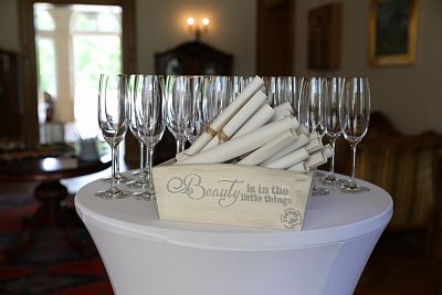Wedding at the castle in Dobřenice: the Staňeks