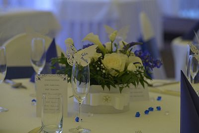 Wedding with banquet at the Chlumec nad Cidlinou Castle: the Slezáks